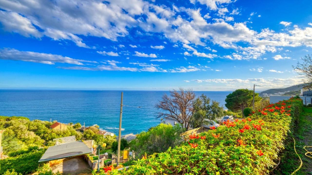 Studio Plage Appartement Santa-Maria-di-Lota
